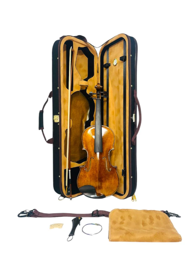 Violín Profesional V05zn Greko 4/4 + Arco + Estuche
