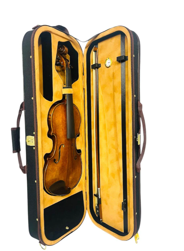 Violín Profesional V05zn Greko 4/4 + Arco + Estuche
