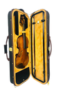 Violín Profesional V05zn Greko 4/4 + Arco + Estuche
