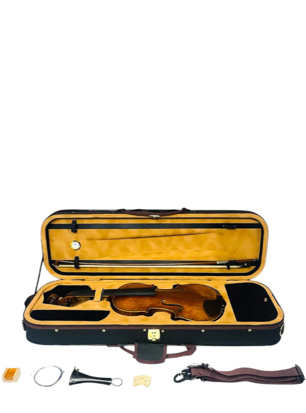 Violín Profesional V05zn Greko 4/4 + Arco + Estuche
