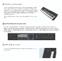 Teclado Organeta Casio Ct-s300 Adaptador + Base + Audifonos

