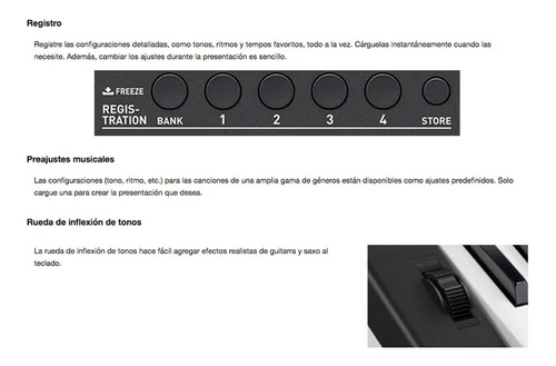 Teclado Organeta Casio Ctx-800 Adaptador + Base
