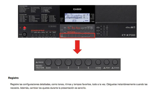 Teclado Organeta Casio Ctx700
