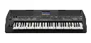 Teclado Yamaha Psr-sx600 Adaptador + Base Doble + Estuche
