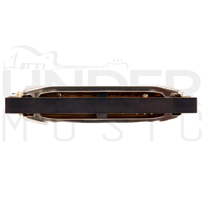 Harmónica Hohner Special 20 En G
