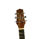 Guitarra Electroacústica Tipo Folk Takamine Ed334c +estuche
