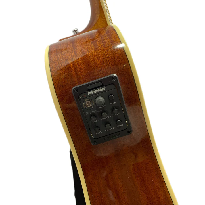 Guitarra Electroacústica Tipo Folk Takamine Ed334c +estuche
