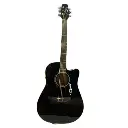 Guitarra Electroacústica Tipo Folk Takamine Ed334c +estuche
