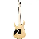 Guitarra Eléctrica Ibanez Rg421-ahm
