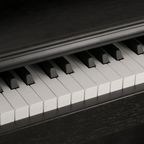 Piano Clavinova Digital NUX Wk-520 De 88 Teclas Negro
