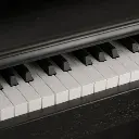 Piano Clavinova Digital NUX Wk-520 De 88 Teclas Negro
