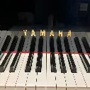 Piano De Cola Acústico YAMAHA GB1K 88 Teclas
