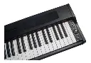 Piano Digital 88 Teclas Semipesada Base Doble Forro En Lona
