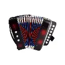 Acordeón Infantil Vallenato Para Niños - Sonido Real

