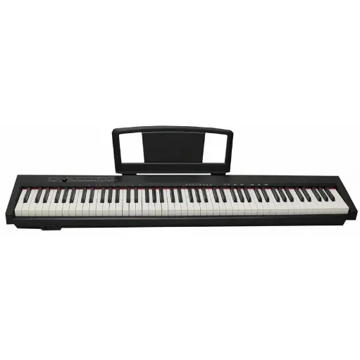 Piano Digital Ayson Gs100 - 88 Teclas Sensibilidad+bluetooth

