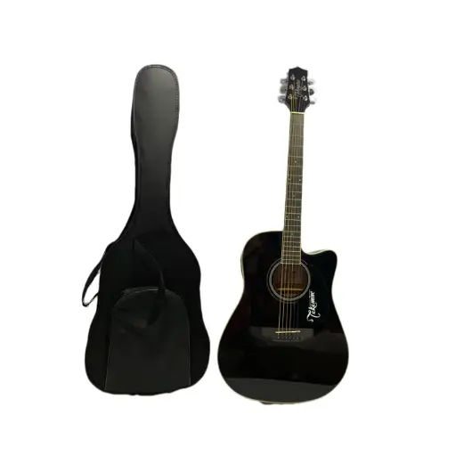 Guitarra Electroacústica Tipo Folk Takamine Ed334c +estuche
